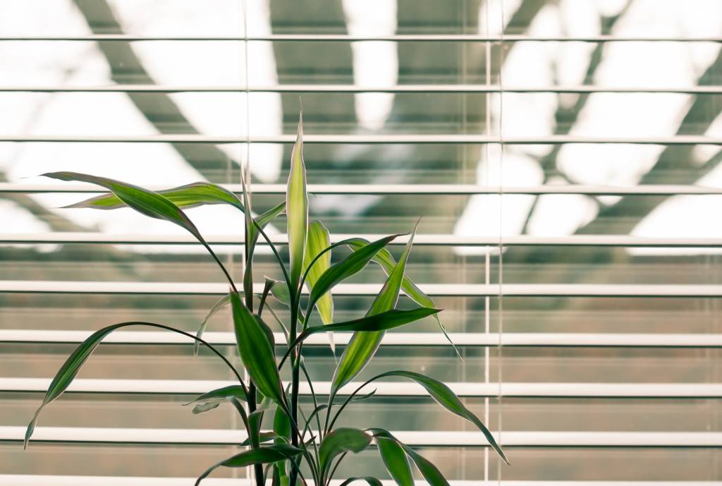 green-leaf